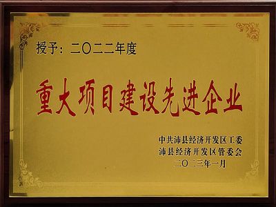 重大項目建設(shè)先進企業(yè)